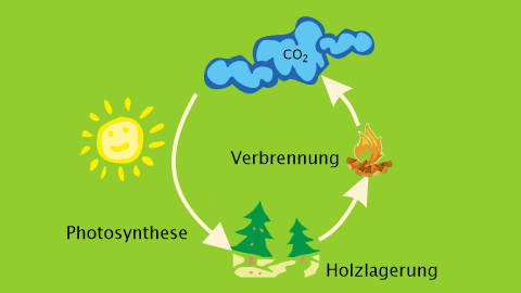 Photosynthese